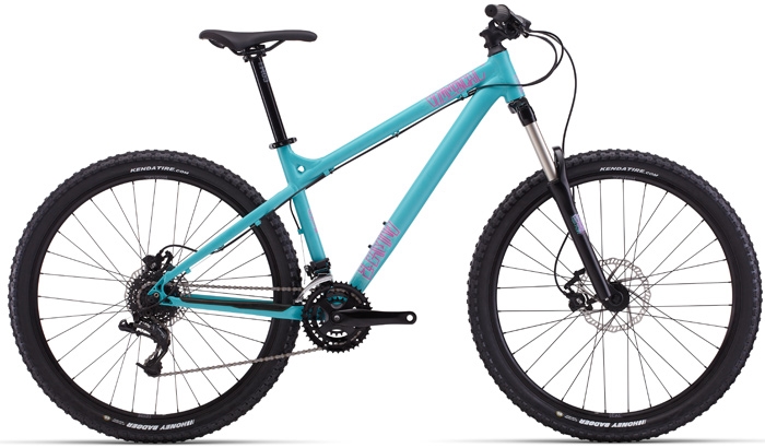 14CAMINOG_600.jpg